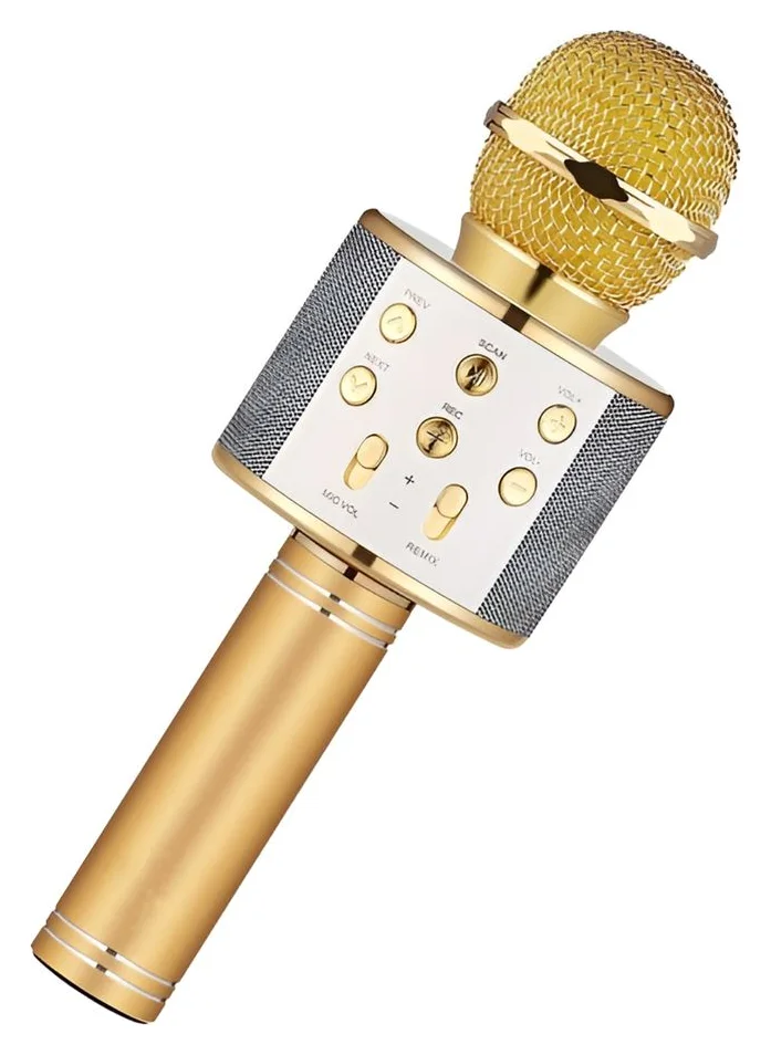 Microfon karaoke pentru copii, cu boxa integrata